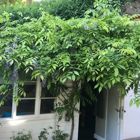Fischerhaus Am Blankeneser Elbhang-2